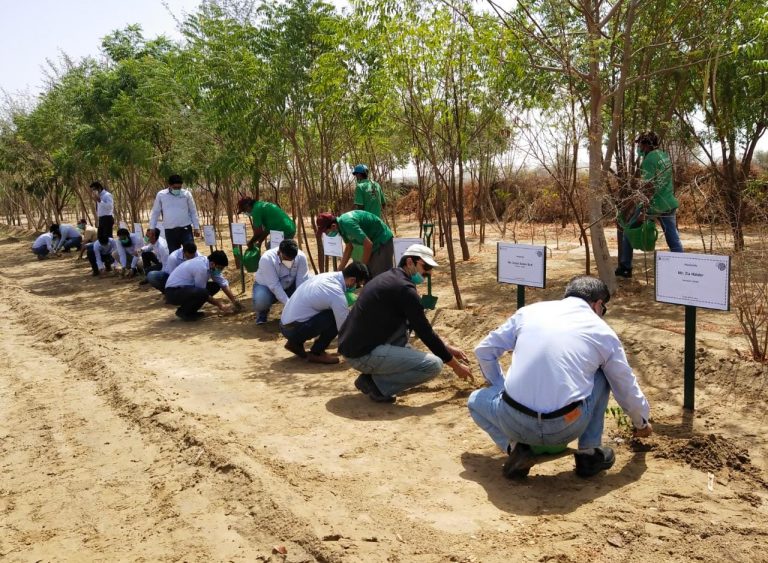 Thar Million Tree Initiative Plants 910,000 Trees- Sindh Courier