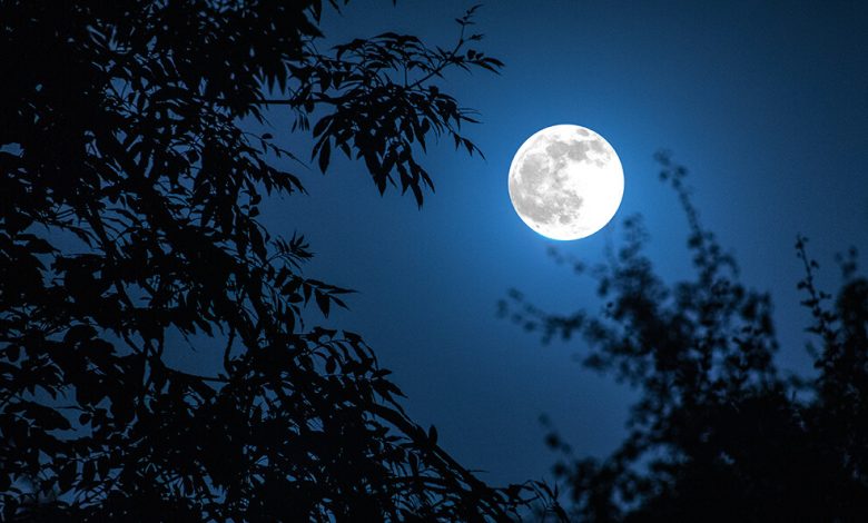 Night landscape of sky and super moon with bright moonlight behind silhouette of tree branch. Serenity nature background. Outdoors at nighttime.