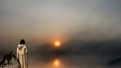 songs-of-silence- courtesy-spiralelixir