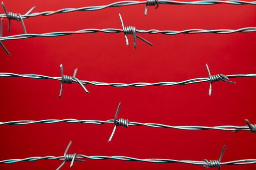 Barbed wire, close-up, red background.