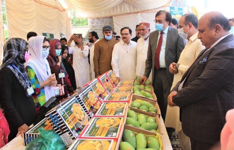 Establishing Farmers' Markets - Mango Seminar- Tando Jam- Sindh Courier-1