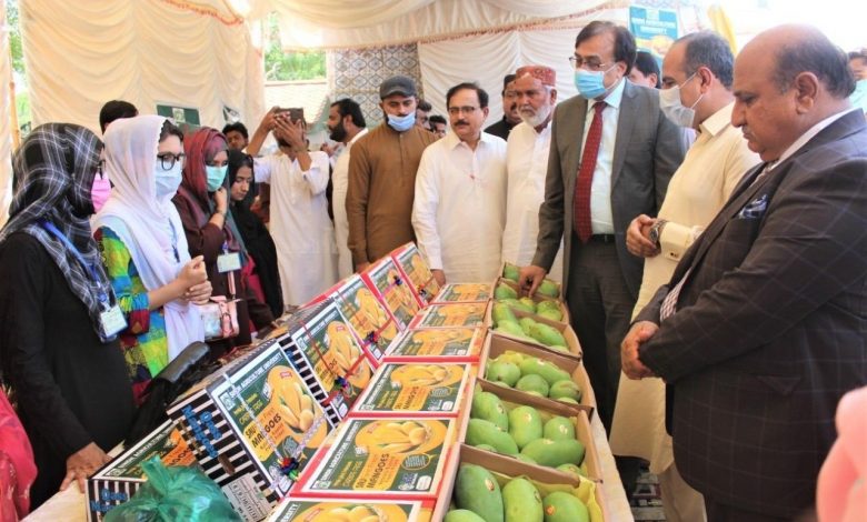 Establishing Farmers' Markets - Mango Seminar- Tando Jam- Sindh Courier-1
