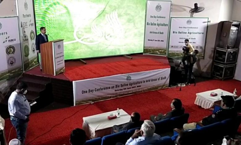 Photo of Sindh govt. to formulate bio-saline agriculture plan
