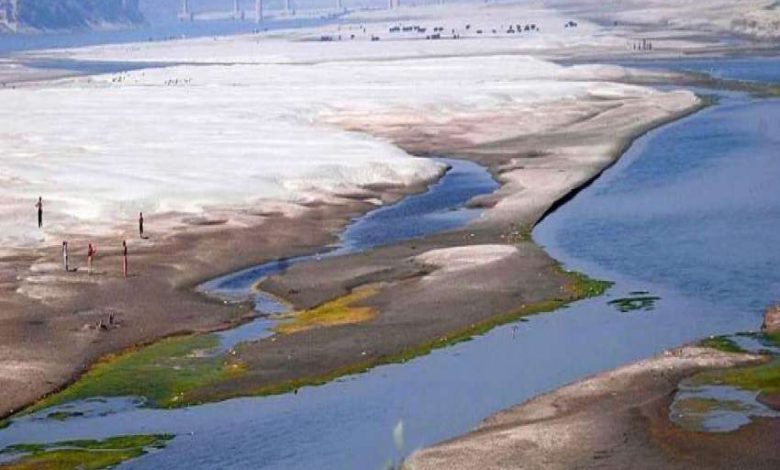 Water Shortage in Indus- Delta- Shazia Marri