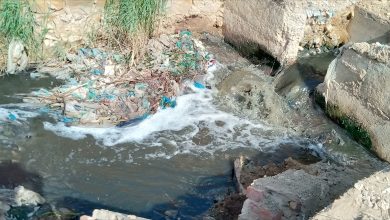 Photo of Water pollution continues posing threat to human life in Sindh