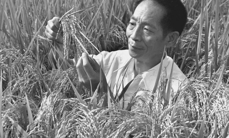 Yuan Longping - Crop scientist