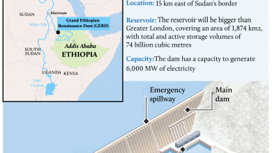 Photo of Egypt may be looking for a military solution to Ethiopia dam dispute