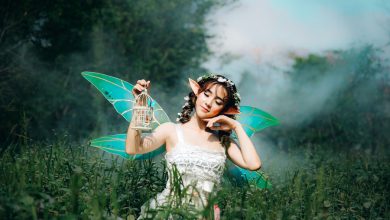 Fairy-Tells-Fairy-Tale