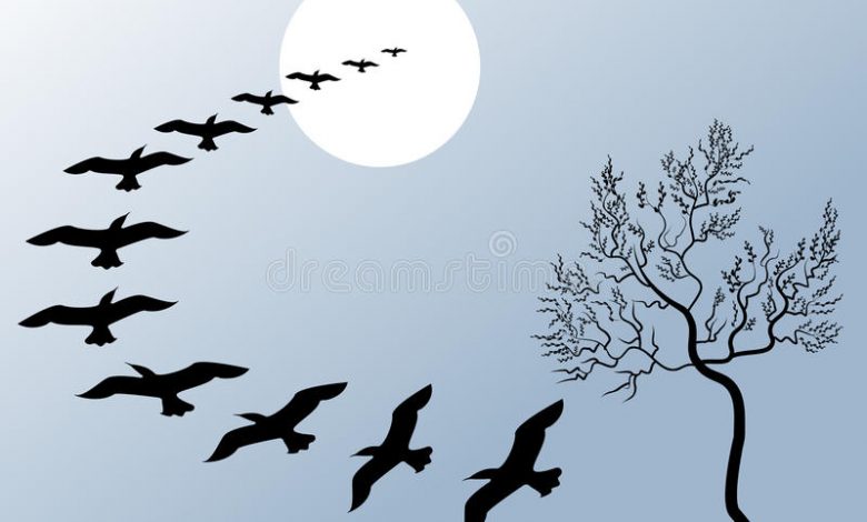 On the wings of Poetry- Literary Note-Sindh Courier