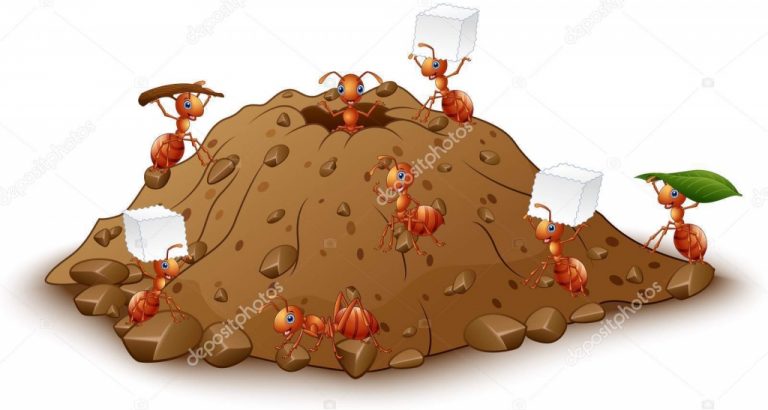 ants-colony-with-anthill