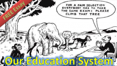 Photo of The collapse of education system is the collapse of nation