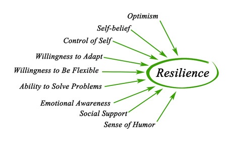40761315 - diagram of resilience