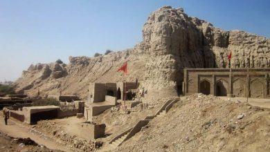 Photo of Studies on Sehwan Fort and Town: EFT offers sponsorship to Ph.D. Scholars