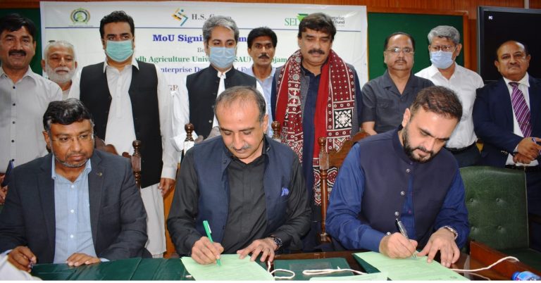MoU signed for Onion Seed Research