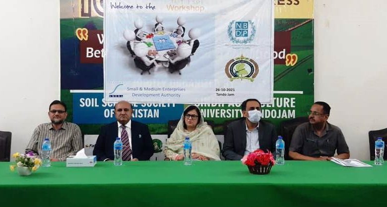 Photo of SMEDA, other institutions to finance Agriculture Graduates of Sindh