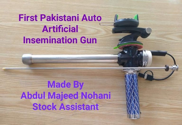 A young man of Sindh invents Auto Artificial Insemination Gun