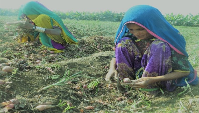 Rural Women of Sindh: Challenges and Pathways