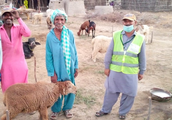 Photo of Community-Based Livestock Management in Disaster Affected Areas of Badin
