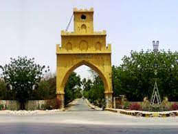Sindh University- Sindh Courier
