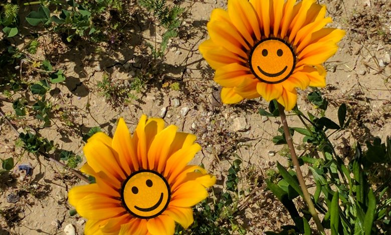 smiling-flowers-
