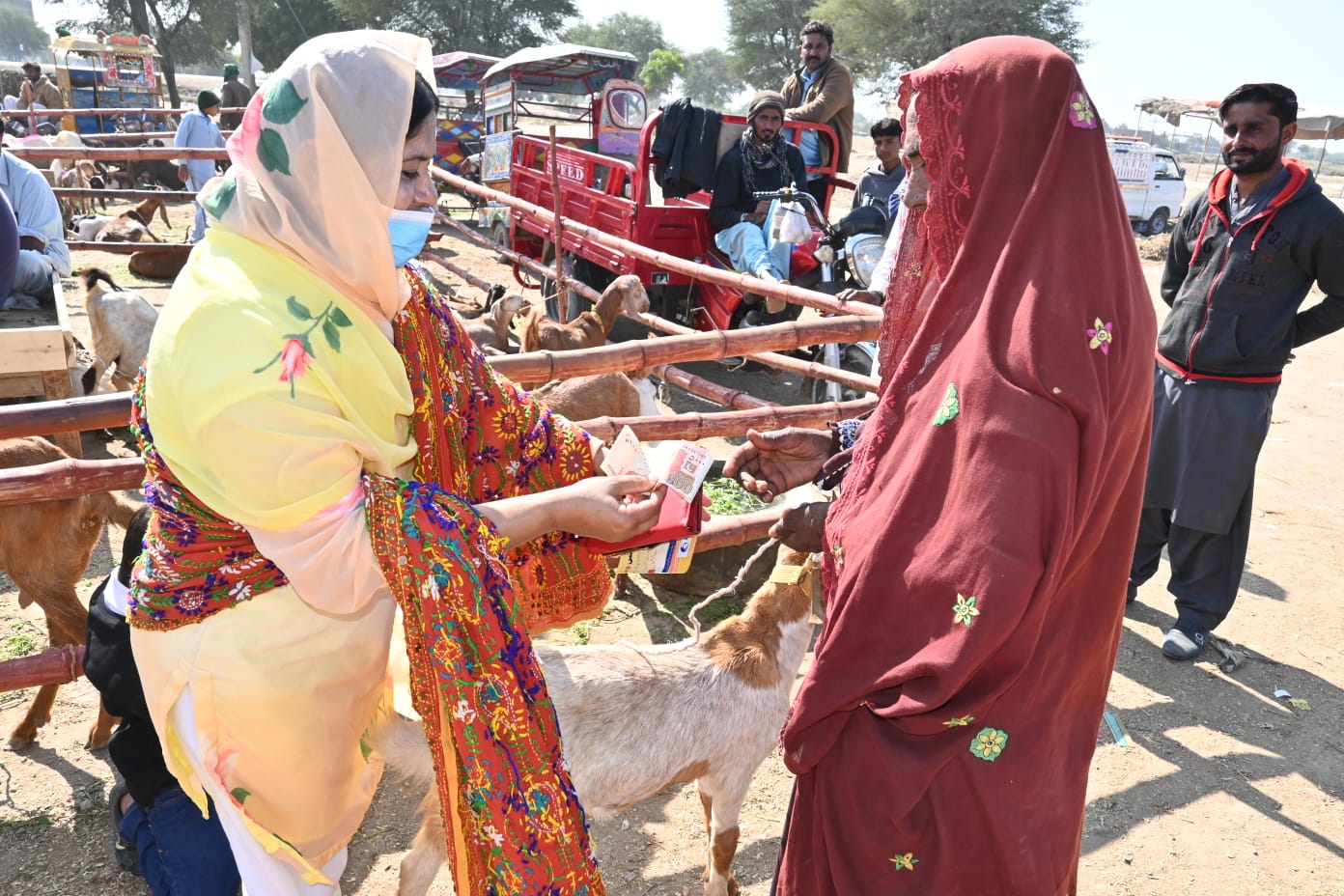01-Women-Livestock-Market-Sindh-courier-2