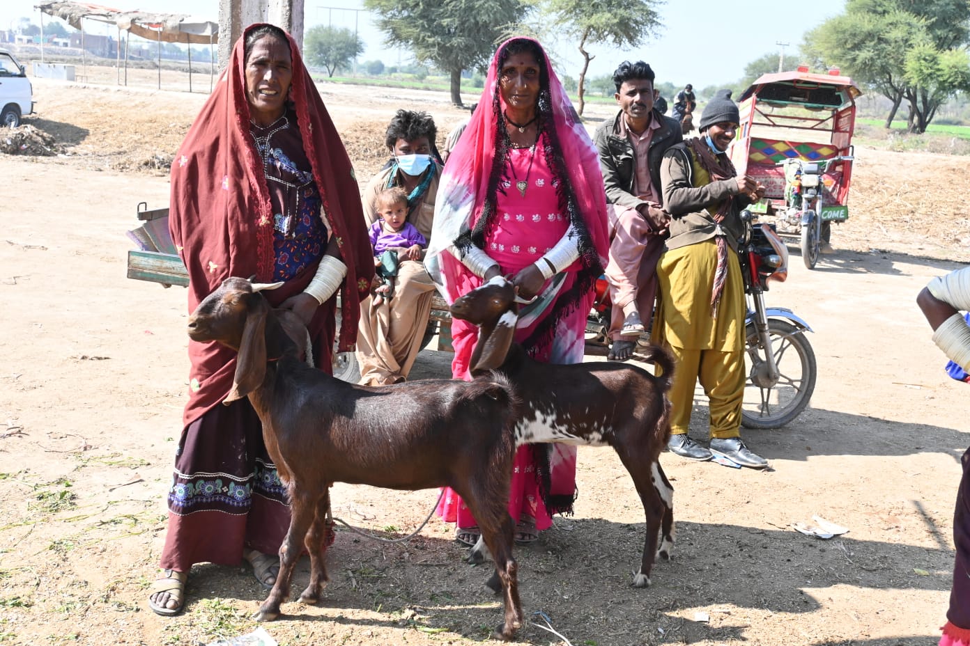 01-Women-Livestock-Market-Sindh-courier-4