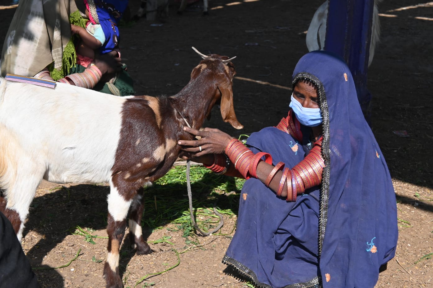 01-Women-Livestock-Market-Sindh-courier-5