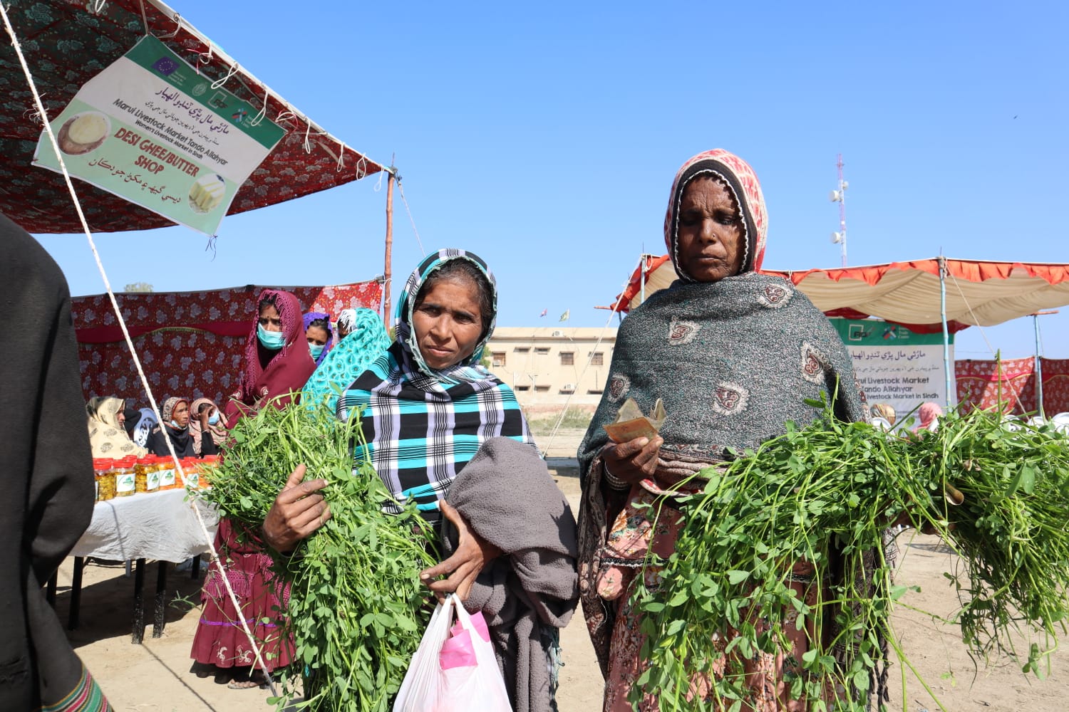 01-Women-Livestock-Market-Sindh-courier-7