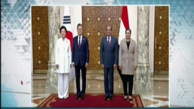 Photo of Egyptian Korean Summit held in Cairo