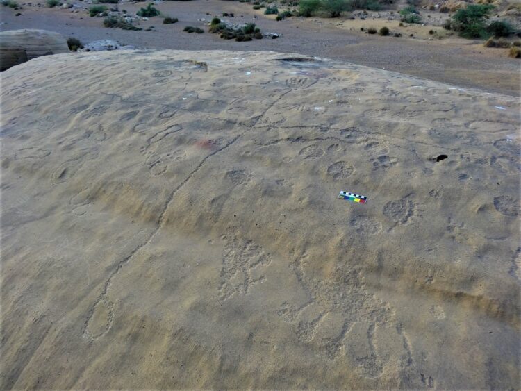 4-Entire-surface-of-a-boulder-at-Lahut-Tar-is-covered-with-petroglyphs-Mol-Valley-750x563
