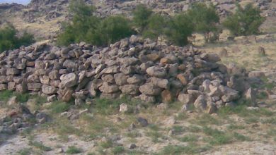 Photo of The ancient mass graves in Sindh