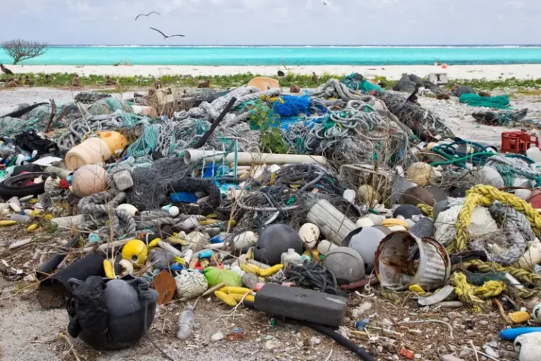Countries agree to end plastic pollution in ambitious global treaty