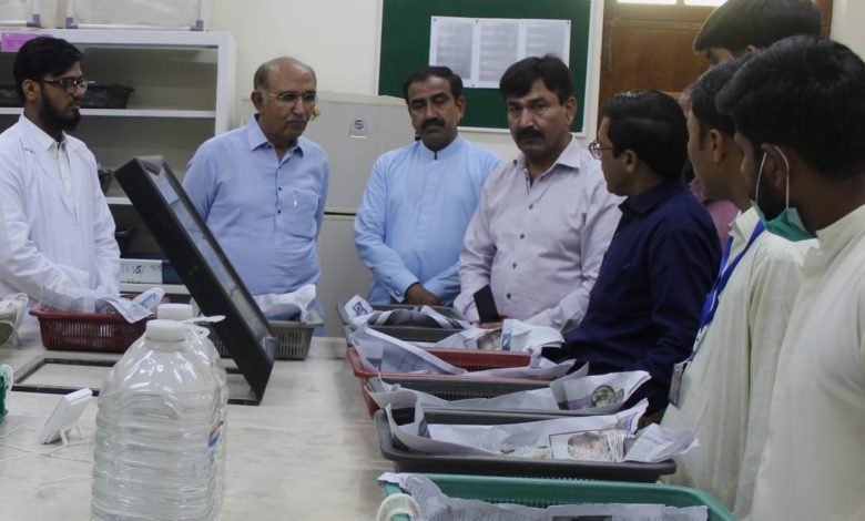 Photo of Sindh Agriculture University launches Sericulture Research Project