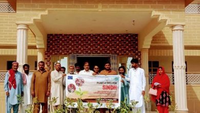 Photo of Over 1 Million Fruit and Forest Tree Saplings distributed in 10 Districts of Sindh