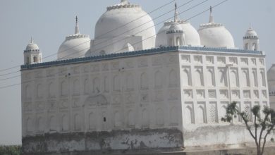 Photo of Mehrab Mosque of Halani – An architectural masterpiece of Kalhora era