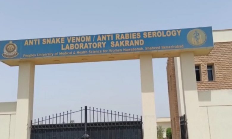Lab-Vaccine-Sindh-Courier