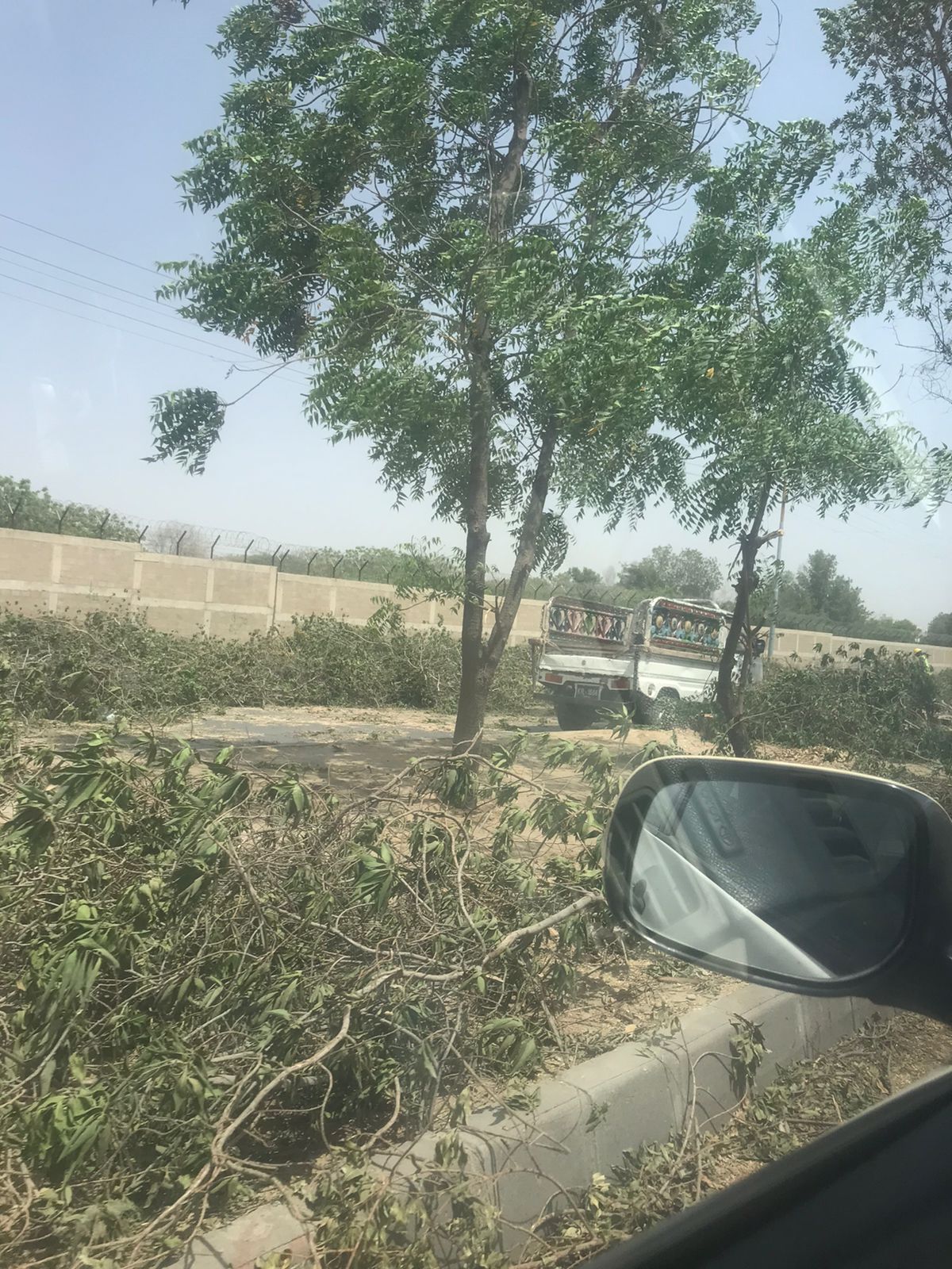 Trees-Chopping-Karachi-Sindh Courier-2