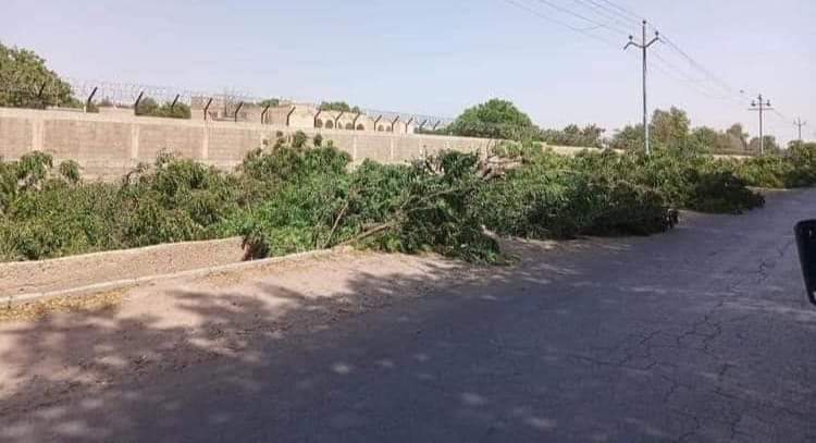 Photo of Chopping of hundreds of trees to build Red Line BRTS corridor in Karachi
