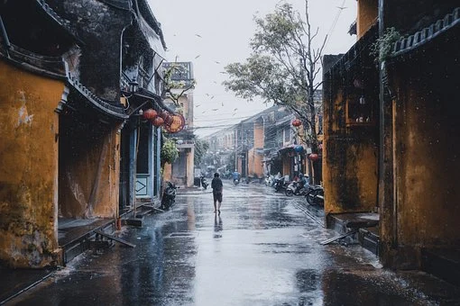 Photo of The Human Road – The Poetry from Vietnam