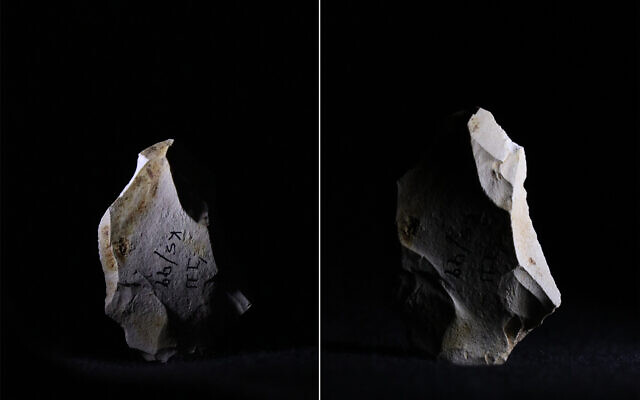 800,000-year-old flint tools found at the Evron Quarry in northern Israel. (Zane Stepka)