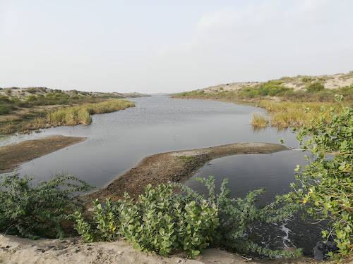 Makhi Lake and Forest