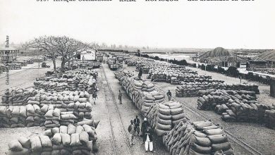 Photo of How the peanut trade prolonged slavery