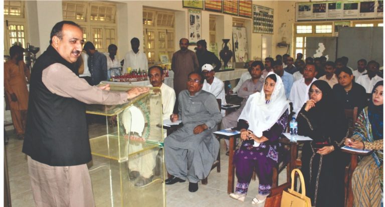 Hybrid seeds have affected the agriculture yield in Sindh