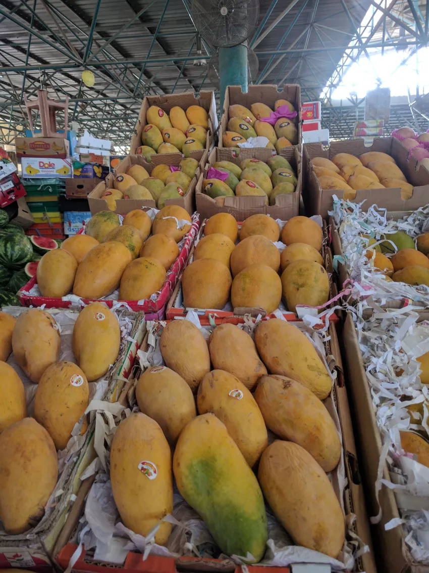 Sindhri-of-Pakistan-in-the-Aweer-market-in-Dubai