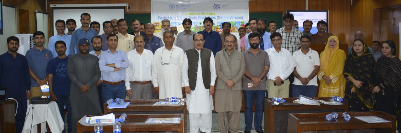 SAU-Workshop-Sindh-Courier-1