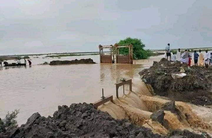Photo of Torrential rains and floods hit Sudan