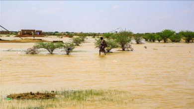 Photo of Torrential rains destroy thousands of houses in Sudan