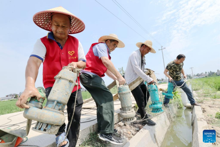 Volunteers lay pumping gears into a canal for irrigation in Xin'an Township, Deqing County, Huzhou City of east China's Zhejiang Province, Aug. 23, 2022.