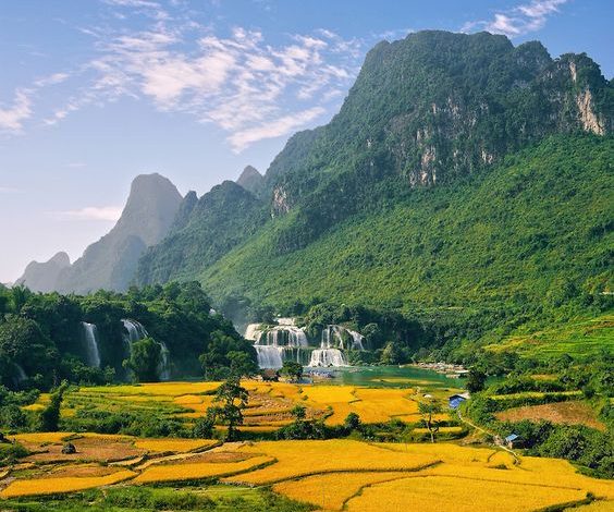 Homeland-Vietnam Pinterest