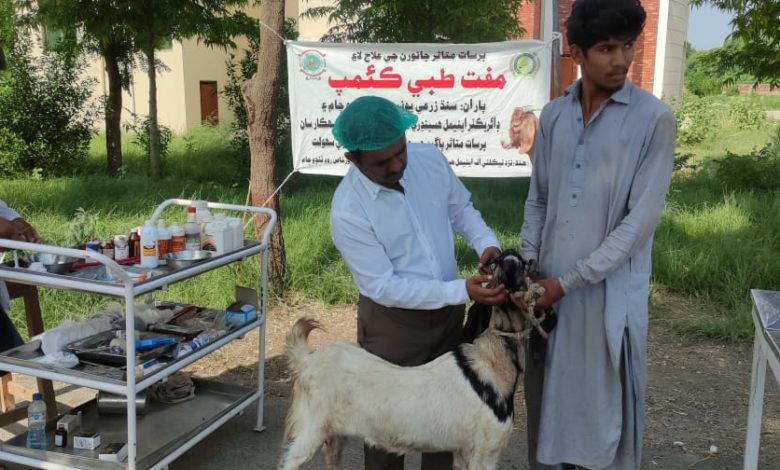 SAU-Veterinary-Camp-Sindh Courier